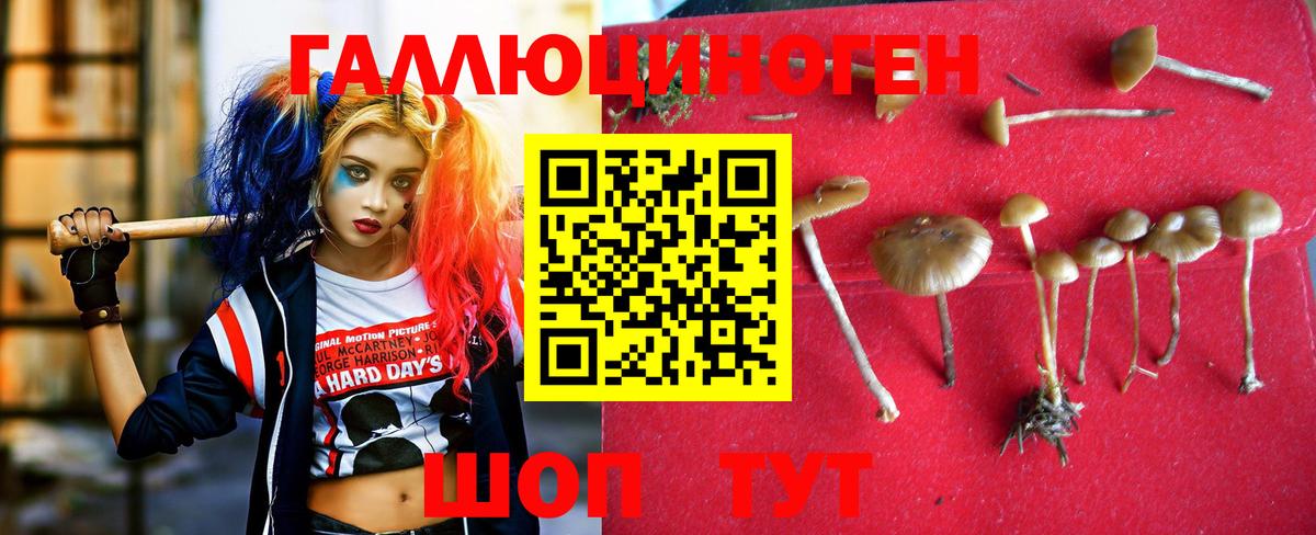 Галлюциногенные грибы Psilocybe  Вход с VPN  Тосно  Галлюциногенные грибы MAGIC MUSHROOMS 